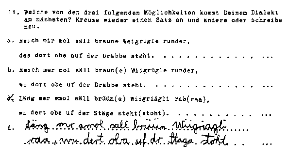 Fragebogenausschnitt, ausgefllt von einem Ihringer Schler